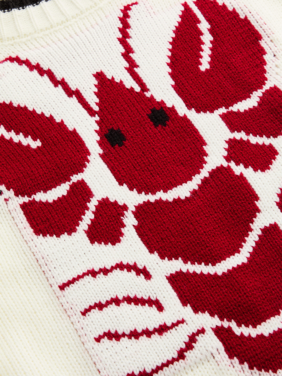 ATISSE – Women's Lobster Jacquard Knit Sweater – Contrast Trim Crew Neck Pullover – Statement Winter Knitwear